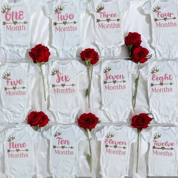 Handmade 👑 Princess Milestone Onesies – Complete 12-Month Set! 👑 - Picture 1 of 14